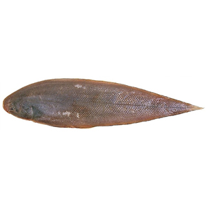 Tong Atlantic